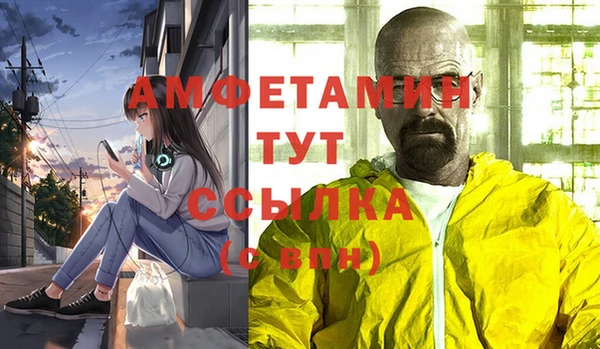 шишки Балабаново