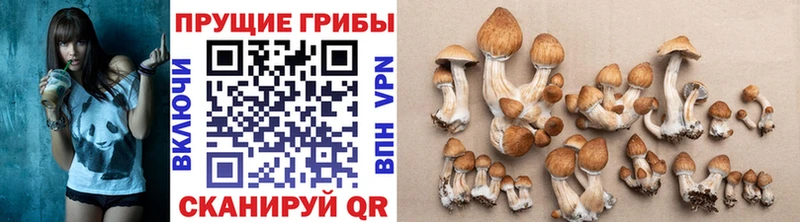 Галлюциногенные грибы MAGIC MUSHROOMS  Нязепетровск 